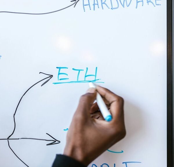 Innovative Digital Network 5571001047 Growth