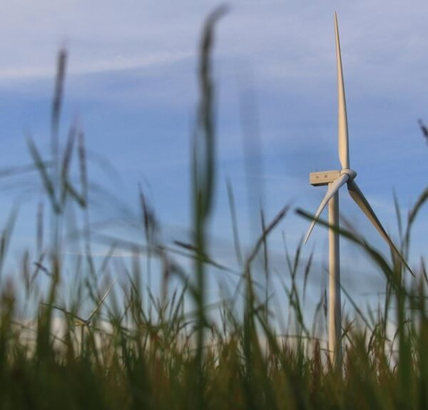 Modern Tech Solutions 966492193 Growth