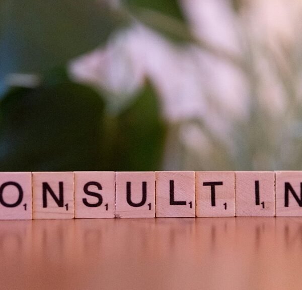 Professional Digital Solutions 7633344680 Growth