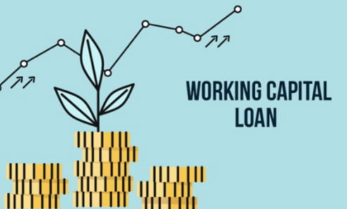 When Should a Business Consider a Working Capital Loan?